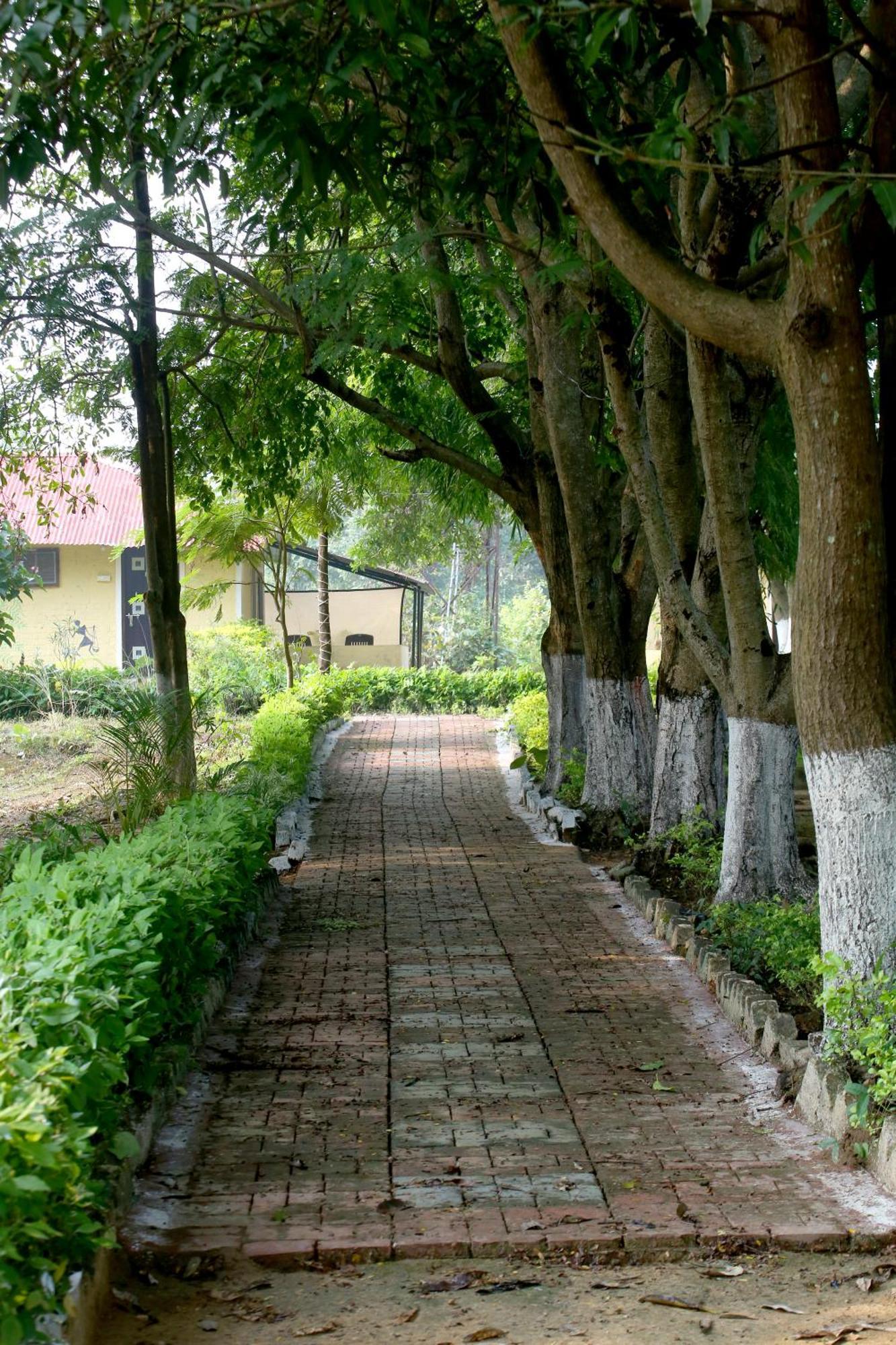 Tribal Wood Resort Dhanwar Exterior photo